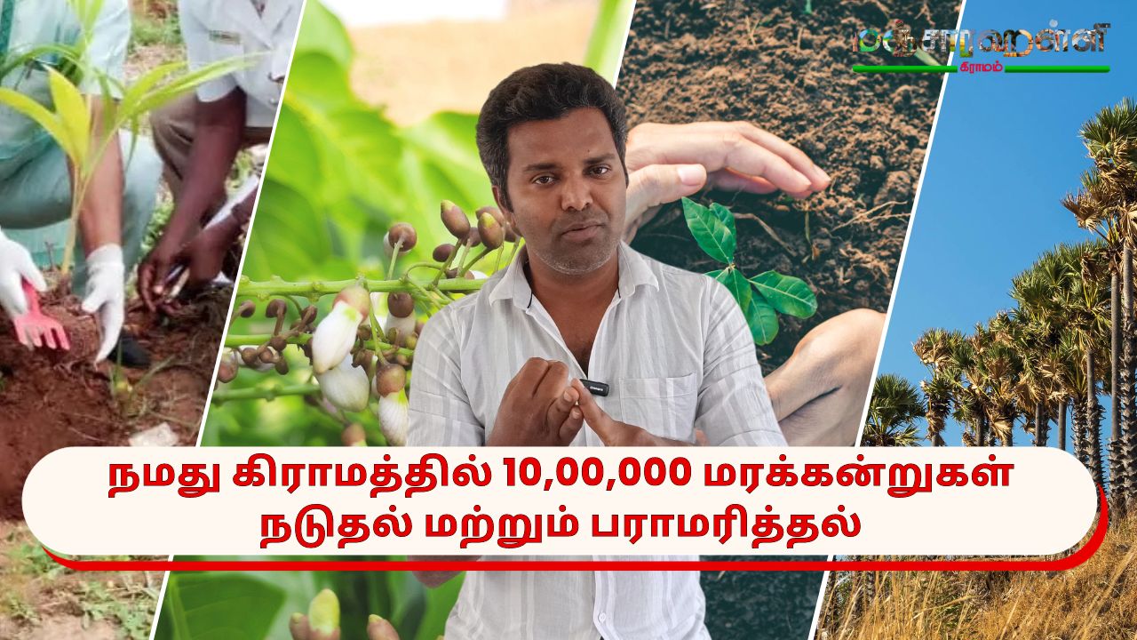 நமது கிராமத்தில் 10,00,000 மரக்கன்றுகள் நடுதல் மற்றும் பராமரித்தல்